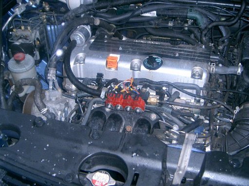 CIMG3741.JPG