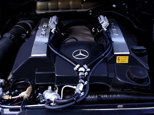 P1010020a.jpg - Von uns auf LPG umgerüsteter 5.5 l- 8 Zylinder AMG Motor, 255 kW (347 PS)